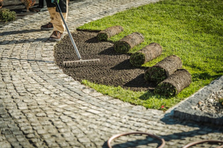 Création et aménagement de jardins et espaces verts