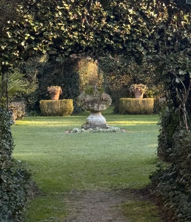 jardin