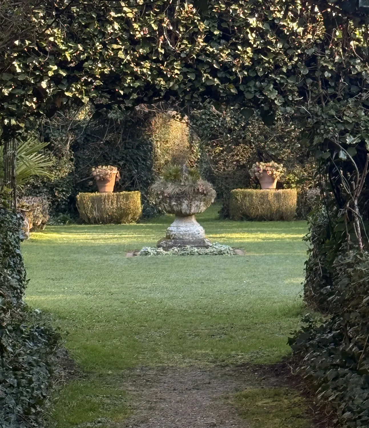 jardin